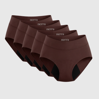 Nerra™ Leak-Proof Comfort Underwear (5-Pack)